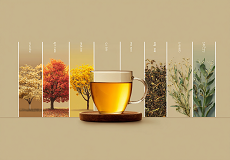 台湾茶的採摘节气，天时，地利，人和中的“天时”